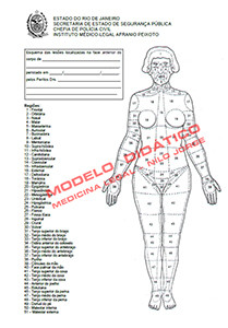 Esq front fem didático tumb